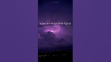 سورة المؤمنون _ بصوت الشيخ ياسر الدوسري (اكتب شيء تؤجر عليه 🤍)