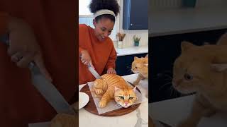 She Cuts A Cat Cake And The Real Cat Freaks Out Calma, É Só Bolo
