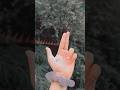 Mujhse Jo Nazrein Churane Lage Ho 🥀🌿 Aesthetic hand dance✨#shorts #trending #youtubeshorts