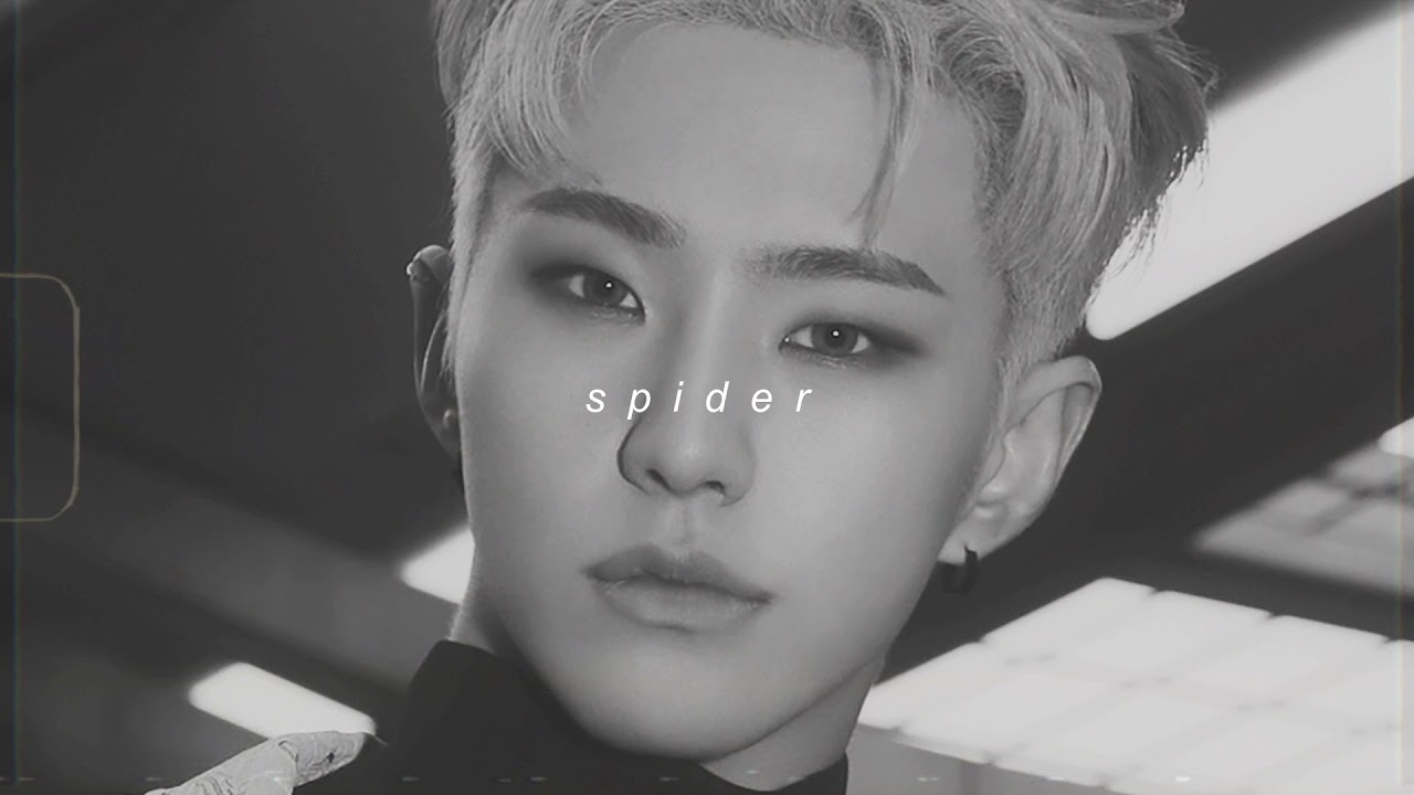 hoshi - spider (slowed + reverb)