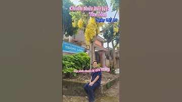 Hết tết rồi lại buôn ba kiếm tiền thôi