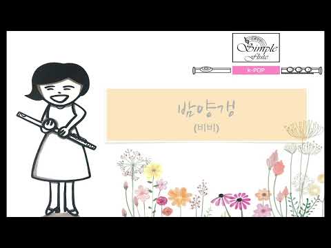 밤양갱 (Flute/Piano/Drum and MR) - 비비