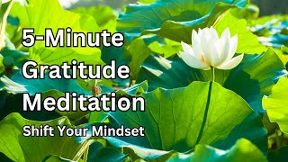 5 Minute Gratitude Meditation: Shift Your Mindset screenshot 5