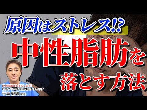 中性脂肪とコレステロールはストレスが影響する!?　家でもできる簡単なストレス解消方 教えて平島先生 No153