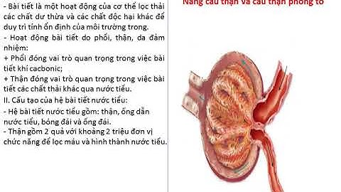 sinh 8  Bài 38  Bài tiết và cấu tạo hệ bài tiết nước tiểu     - Giáo viên: Nguyễn Cao Toàn