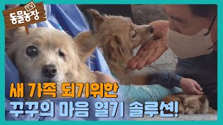 아저씨와 함께 살기 위한 꾸꾸 마음 열기 솔루션! I TV동물농장 (Animal Farm) | SBS Sto…