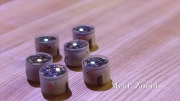 Zooids: Small Autonomous Robots That Swarm