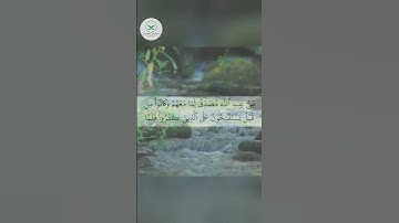 سورة البقرة  الشيخ محمد الفقيه  #duet #forupage #تيك_توك #quran #اكسبلور #دويتو #لايك #لايك #love #