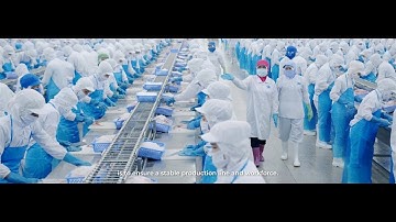 Prod.by 6seconds. | Vĩnh Hoàn 25 năm - corporate video