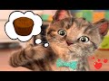 SPECIAL LITTLE KITTEN ADVENTURE LONG VIDEO- ADVENTUROUS JOURNEY OF CUTE KITTEN AND ANIMAL FRIENDS #7