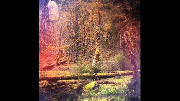 Geometer - Slidecamp