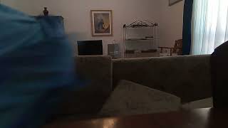 Isaac Flipping The Sofa