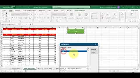 Actividad Filtro avanzado con macros en Excel