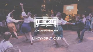 Lindyhop.lt 20 - Lindyhop.lt Cats performance