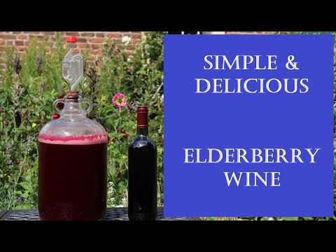 Elderberry Wine (Port) - Simple and delicious