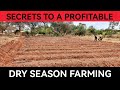 Secrets To Profitable Dry Season Farming | Everything You Need To Know.