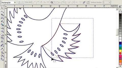 TỰ HỌC COREL DRAW đầy đủ chi tiết từ A Z   Bài 3  VẼ ĐỐI TƯỢNG