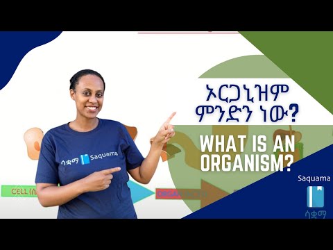 ቪዲዮ: ዋናው የሰው ባዮሎጂ ምንድን ነው?