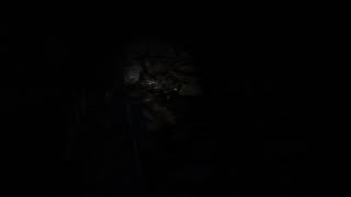 TLOU1 #3- Intentando sobrevivir