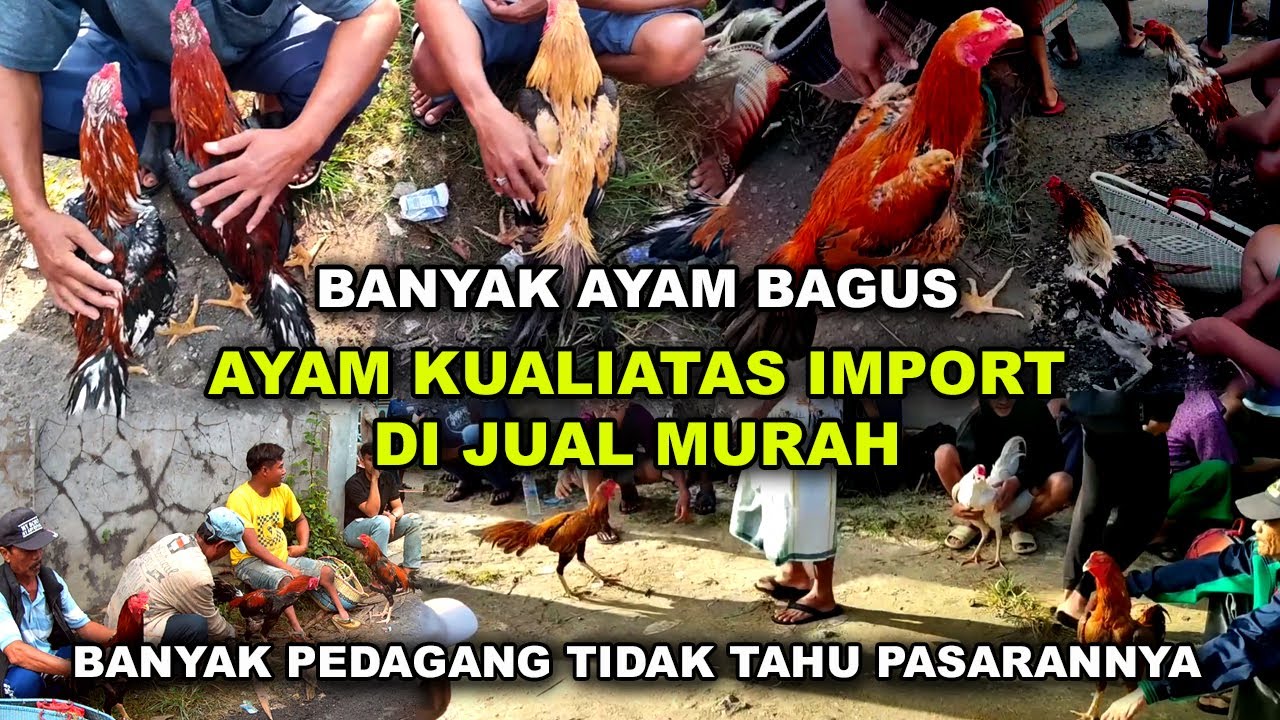 Поездка на традиционный рынок | Обзор цен на элитную курицу в Бангкоке