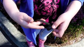 Kweb Show - Teenager Garter Snake Pees On Herfxp0242