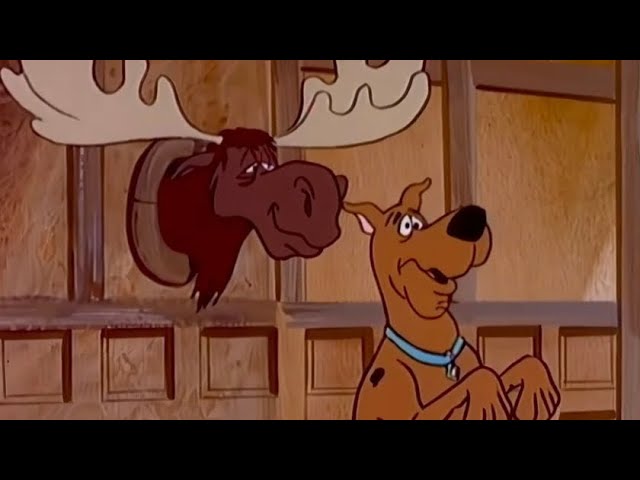 June 2026 | Zoinks vs Moose