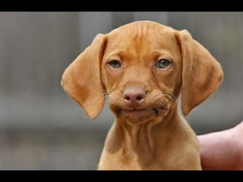 Hired - How to Get the Job’s Weekly Review!