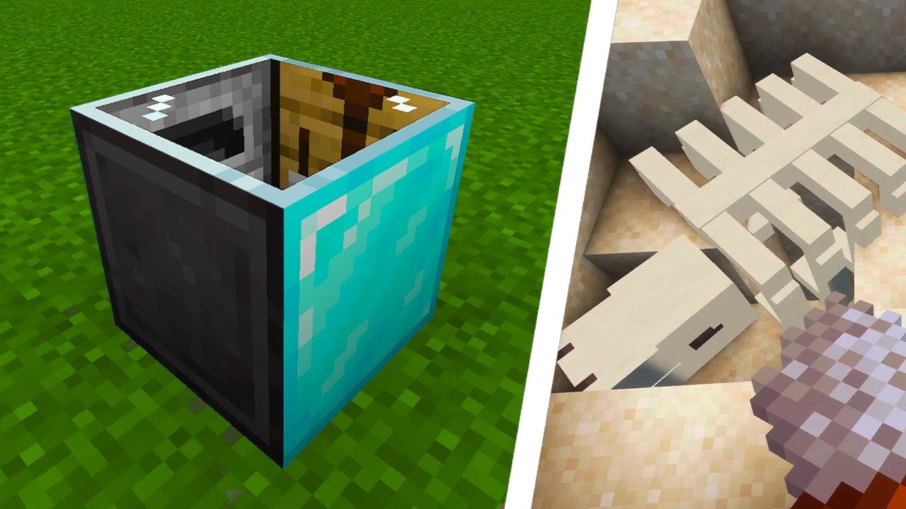 The Minecraft Trails & Tales update has some Wild Features... - YouTube