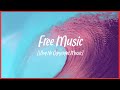 Xad - Birds [Vlog No Copyright Music]