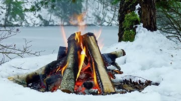 سورة البقرة - القارئ عبد الله خياط - حفرة النار في الطبيعة - بدون ذوات الأرواح - 4K (UHD)