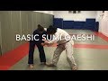 Sumi gaeshi bjj and judo