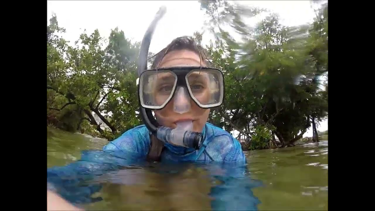 Virginia Key Beach Cleanup/Snorkel 10/2023