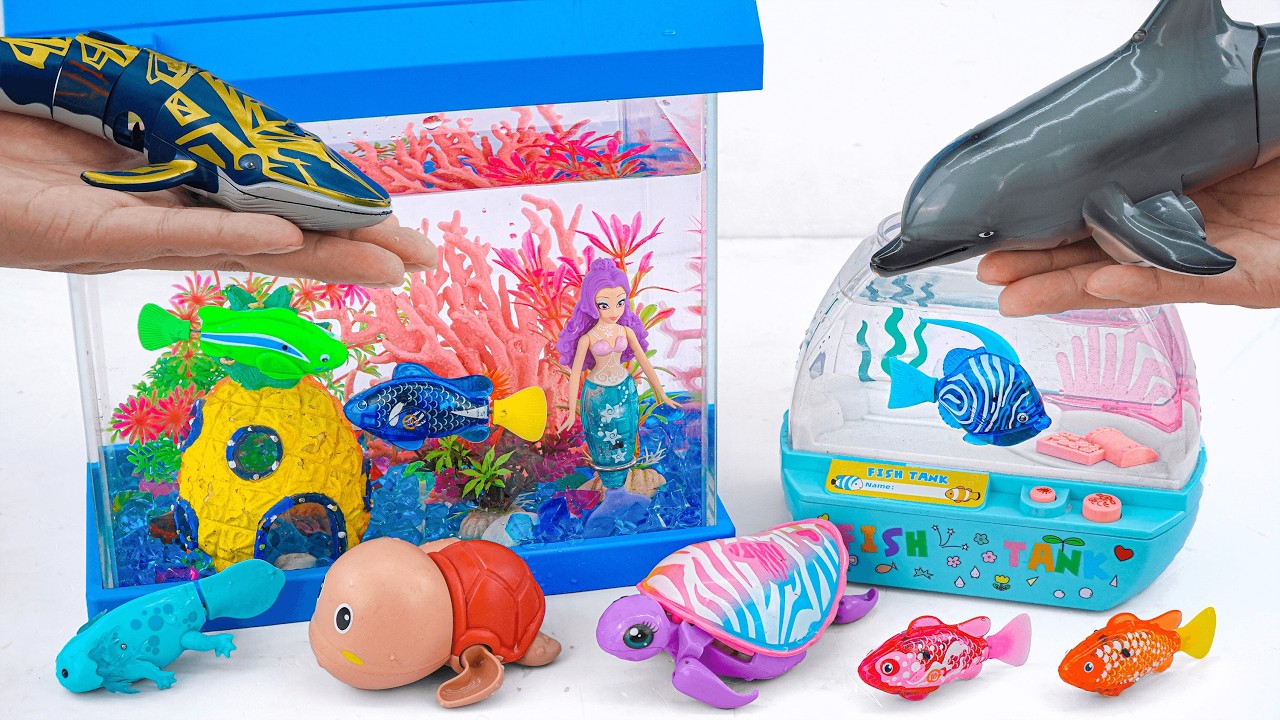 [toy asmr] Zuru Robo Fish ＆ RC Dolphin ＆ Mini TV Aquarium Playset ASMR | Satisfying with Unboxing