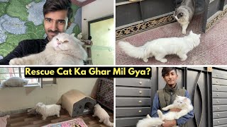 Finally Rescue Cat Ka Ghar Mil Gaya | Rehan & Max