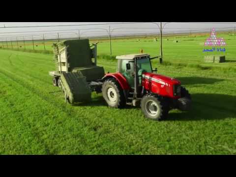 السودان المجد للسودان المجد لشعب السودان