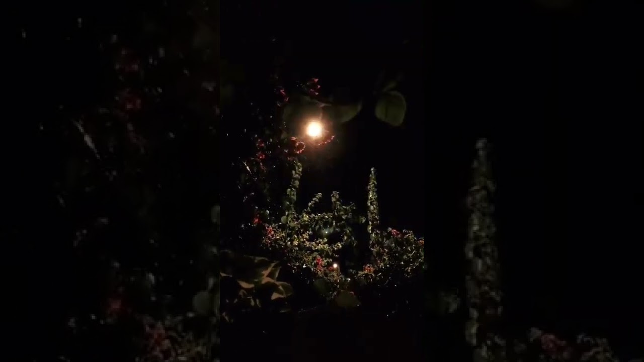 Lightning accompany heavy rain 