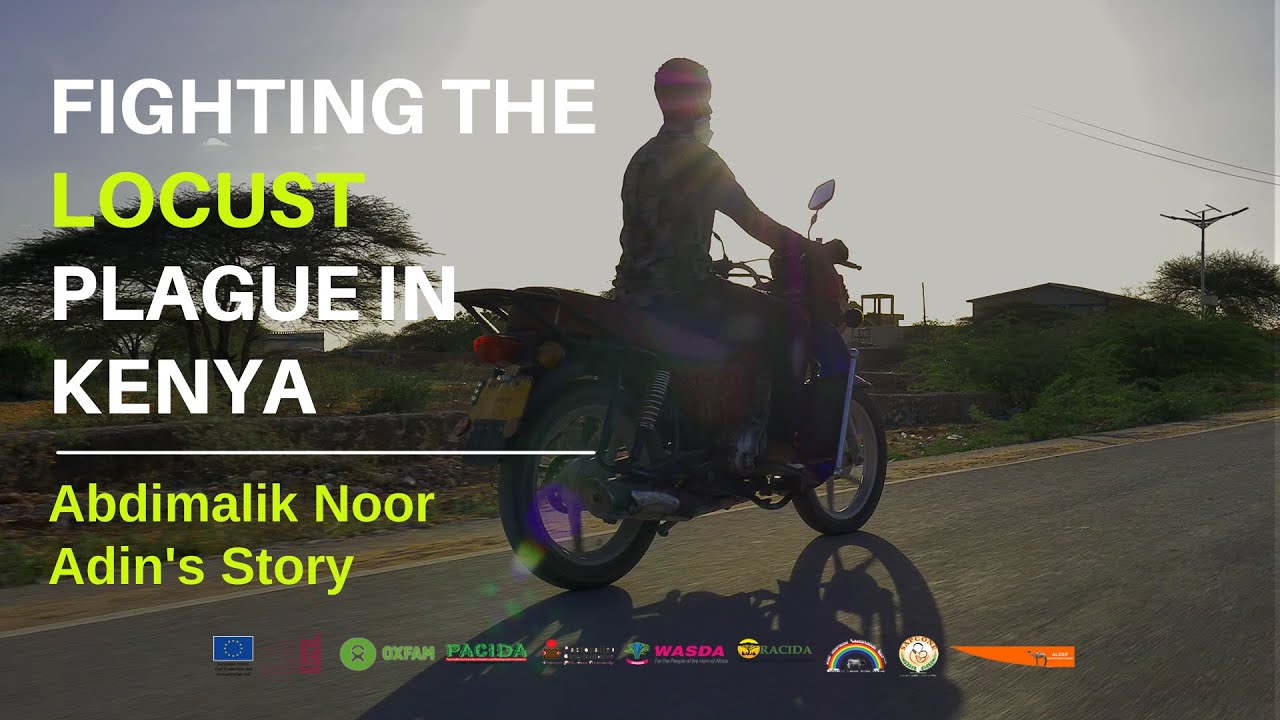 Abdimalik Noor Adin's Story | Fighting the Locust Plague