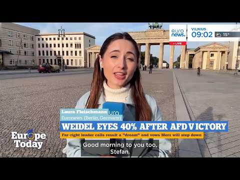 A Germany ruled by the far-right AfD?