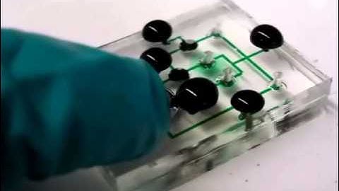 Finger-Powered Microfluidic Systems Using Multilayer Soft Lithography and Injection Molding Processe