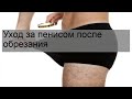 Уход за пенисом после обрезания