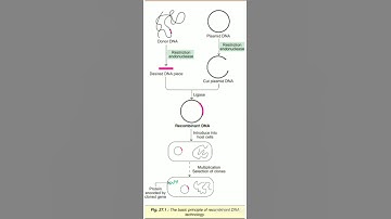 # Short on Recombinant DNA technology