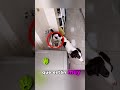 EL PERRO MÁS HIGIENICO DEL MUNDO #shorts