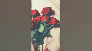 غلط عمري اغنيه عراقيه 