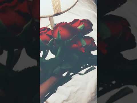 غلط عمري اغنيه عراقيه