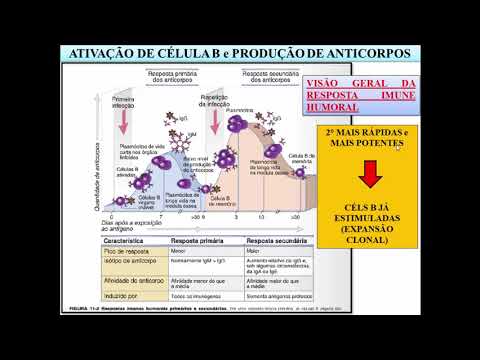 Vídeo: Ensaio De Morte Celular Em Protoplastos De Cevada E Trigo Para Identificação E Validação De Receptores Imunológicos Compatíveis Com Efetores AVR Patógenos E Plantas NLR