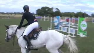 Horse doing the Git Up Challenge