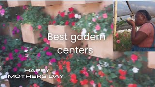 Gadern center tour||Mothers day rose retreat||Tlokweng rose gadern||Sanitas nuseries &gadern center