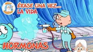 Thumbnail image for Hormonas y cambios | Recopilación de Episodios | Erase Una Vez... La Vida