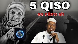 5 Qiso Oo cibro muhiim ah leh Sheikh Mustafa Ismail