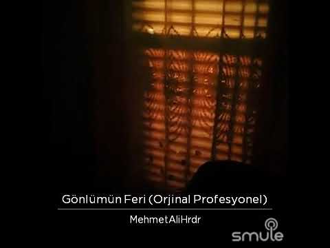 Gönlümün Feri